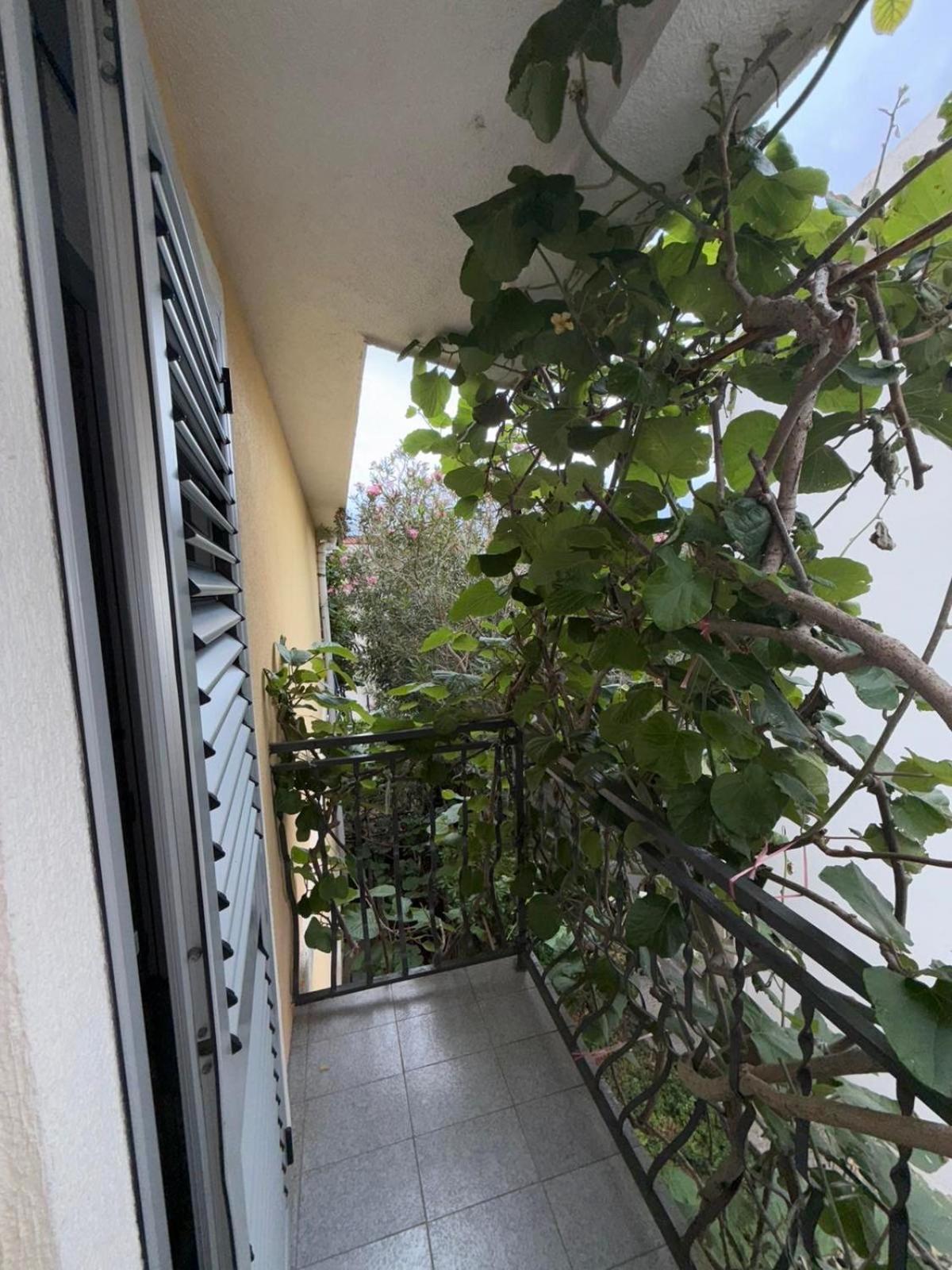 Apartment Stana Petrovac Екстериор снимка