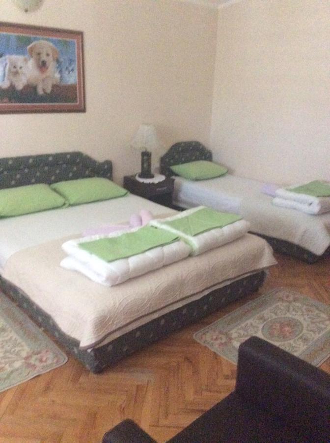 Apartment Stana Petrovac Екстериор снимка